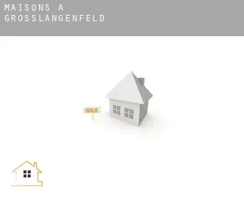 Maisons à  Großlangenfeld