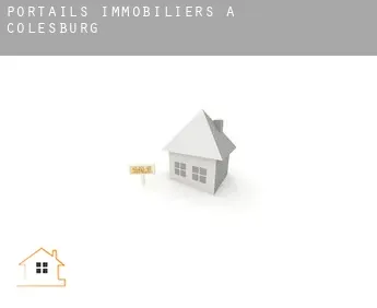 Portails immobiliers à  Colesburg