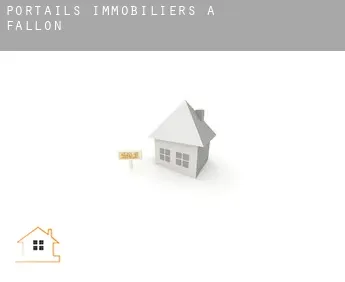 Portails immobiliers à  Fallon