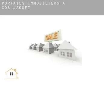 Portails immobiliers à  Cos Jacket