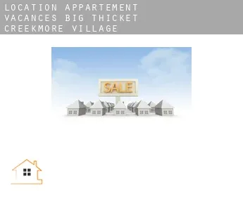 Location appartement vacances  Big Thicket Creekmore Village