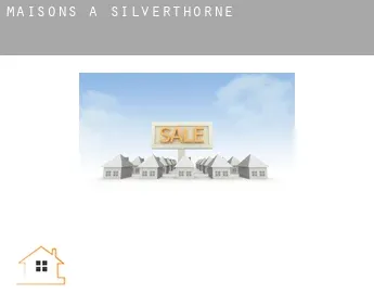 Maisons à  Silverthorne
