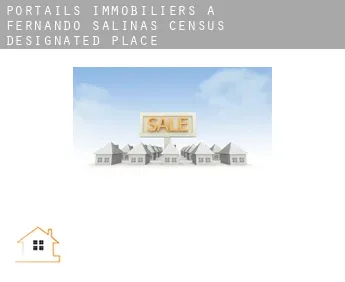 Portails immobiliers à  Fernando Salinas