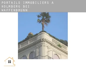 Portails immobiliers à  Kolmberg bei Waffenbrunn