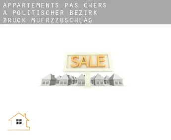 Appartements pas chers à  Politischer Bezirk Bruck-Muerzzuschlag