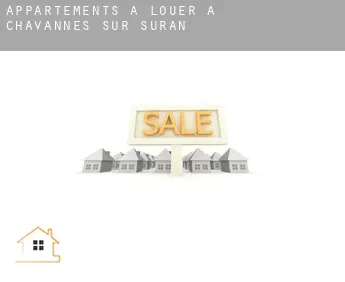 Appartements à louer à  Chavannes-sur-Suran