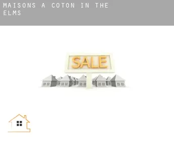 Maisons à  Coton in the Elms
