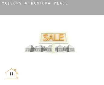 Maisons à  Dantuma Place