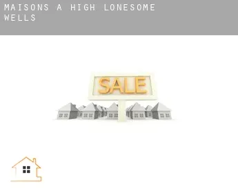 Maisons à  High Lonesome Wells