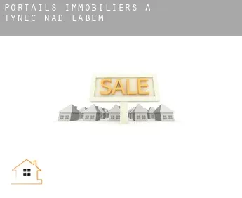 Portails immobiliers à  Týnec nad Labem