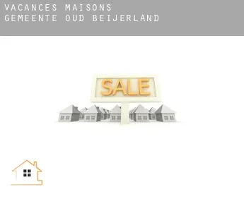 Vacances maisons  Gemeente Oud-Beijerland