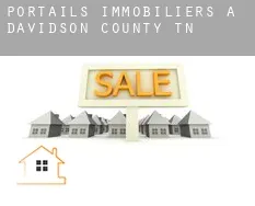 Portails immobiliers à Davidson