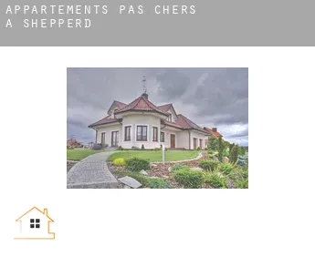 Appartements pas chers à  Shepperd