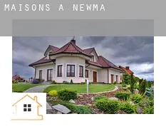 Maisons à Newman