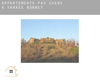 Appartements pas chers à  Yankee Bonnet