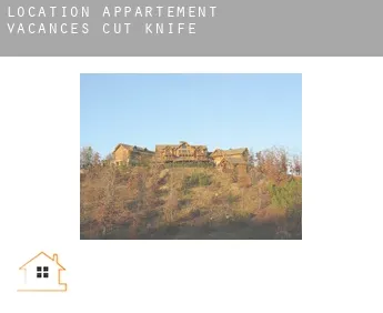 Location appartement vacances  Cut Knife