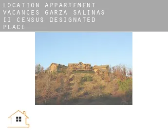 Location appartement vacances  Garza-Salinas II
