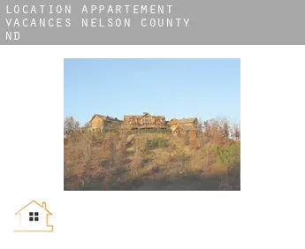 Location appartement vacances  Nelson