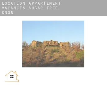Location appartement vacances  Sugar Tree Knob