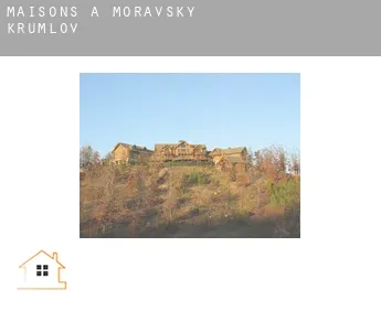 Maisons à  Moravský Krumlov