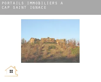 Portails immobiliers à  Cap-Saint-Ignace
