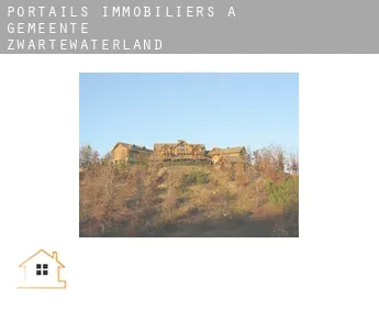 Portails immobiliers à  Gemeente Zwartewaterland
