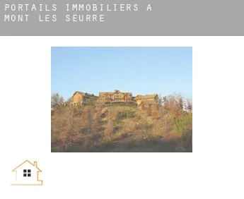 Portails immobiliers à  Mont-lès-Seurre