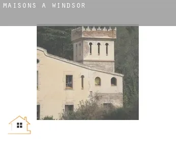Maisons à  Windsor