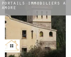 Portails immobiliers à Amoret