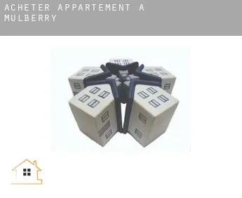 Acheter appartement à  Mulberry