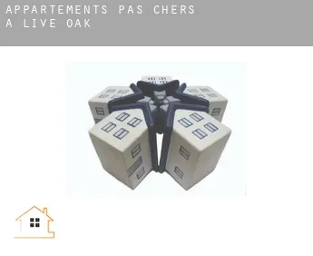 Appartements pas chers à  Live Oak