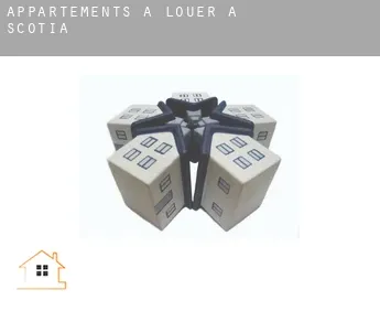Appartements à louer à  Scotia