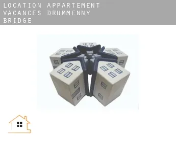 Location appartement vacances  Drummenny Bridge