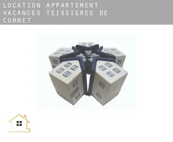 Location appartement vacances  Teissières-de-Cornet