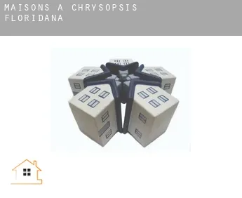 Maisons à  Chrysopsis Floridana
