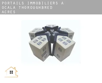 Portails immobiliers à  Ocala Thoroughbred Acres