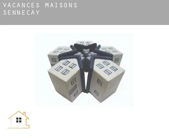 Vacances maisons  Senneçay