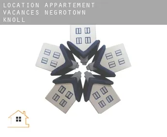 Location appartement vacances  Negrotown Knoll