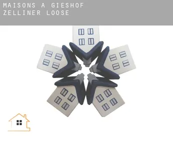 Maisons à  Gieshof-Zelliner Loose