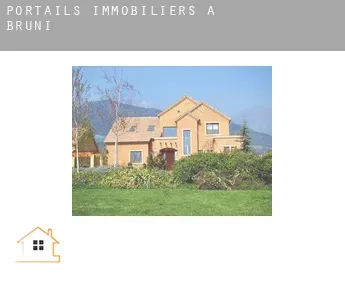 Portails immobiliers à  Bruni