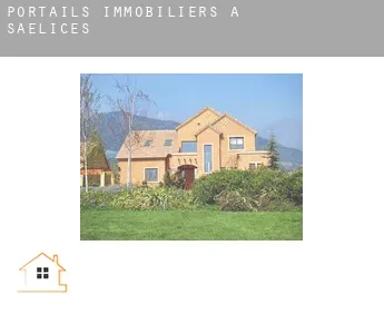 Portails immobiliers à Saelices