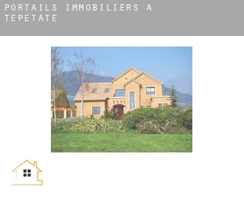 Portails immobiliers à  Tepetate