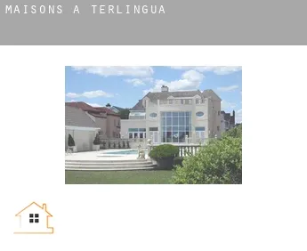 Maisons à  Terlingua