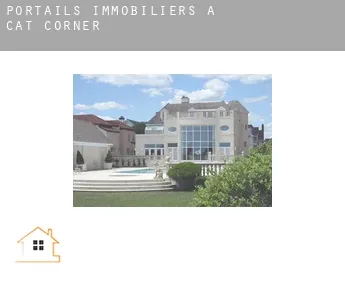 Portails immobiliers à  Cat Corner