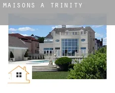 Maisons à Trinity