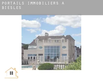 Portails immobiliers à  Biesles