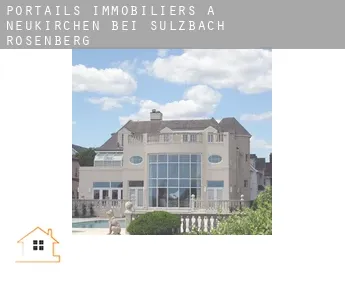 Portails immobiliers à  Neukirchen bei Sulzbach-Rosenberg