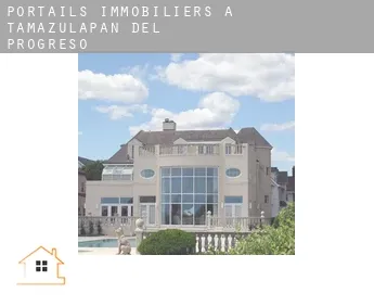 Portails immobiliers à  Tamazulapan del Progreso