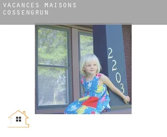 Vacances maisons  Cossengrün