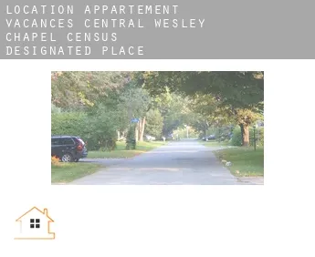 Location appartement vacances  Central Wesley Chapel